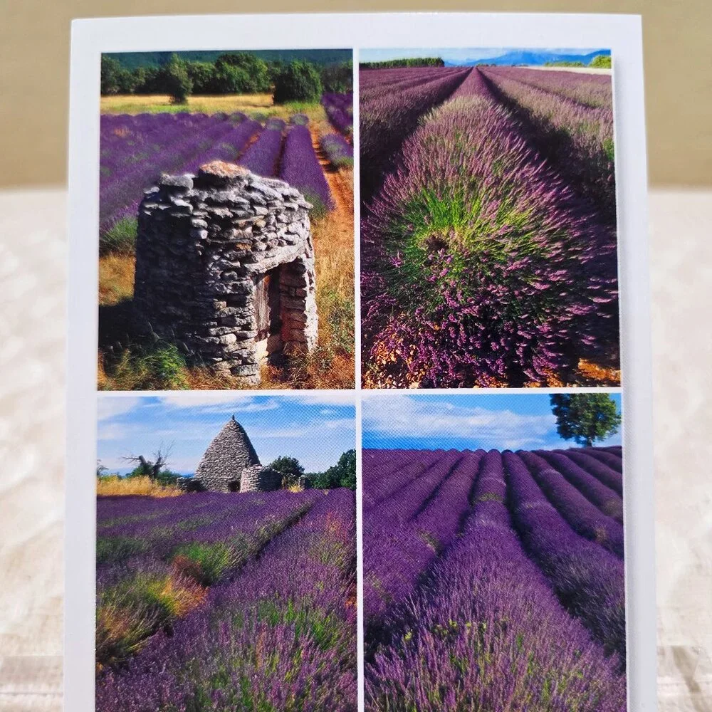 June 12, 2001 En Provence Andre Tardeiti Editions AGEP Postcard Written No Post